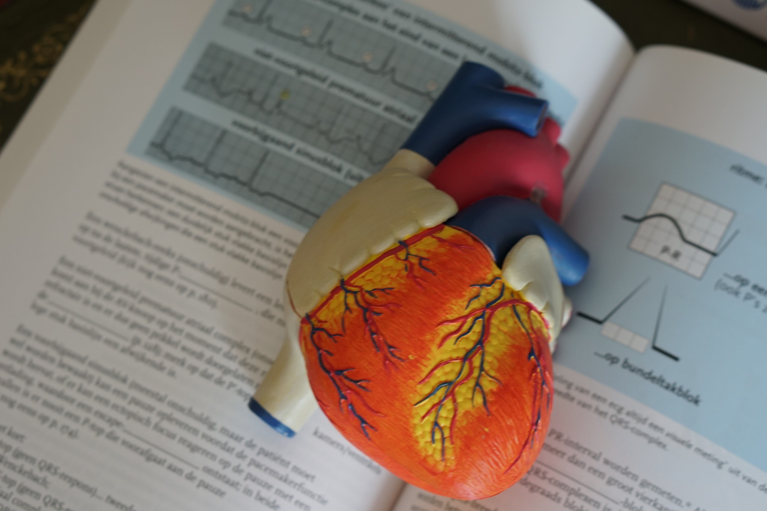 A plastic heart lying on top of a book